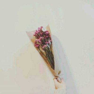 一骑学院h5游戏下载